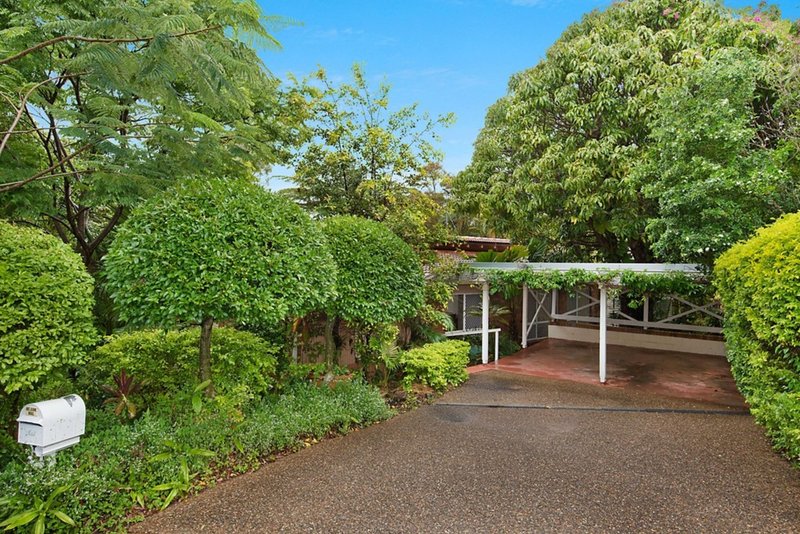 Photo - 10 Griffith Lane, Buderim QLD 4556 - Image 12