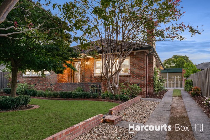 10 Haig Street, Box Hill South VIC 3128