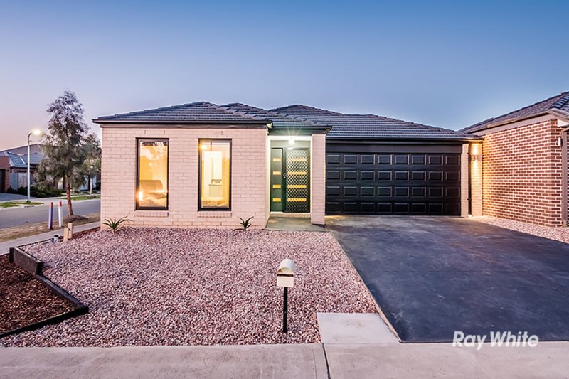 Photo - 10 Harvard Street, Cranbourne West VIC 3977 - Image 24