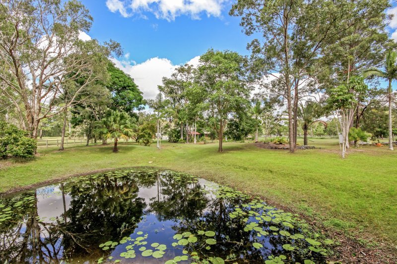 Photo - 10 Hawk Street, Moodlu QLD 4510 - Image 21