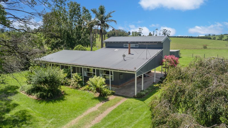 10 Hayden Street, North Dorrigo , Dorrigo NSW 2453