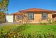 Photo - 10 Hazelwood Avenue, Hectorville SA 5073 - Image 1