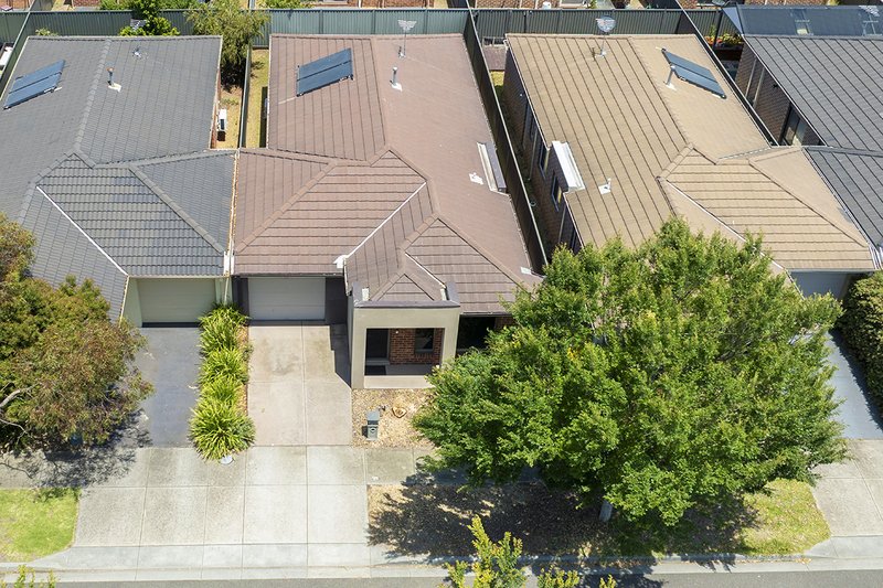 Photo - 10 Heracles Lane, Cranbourne West VIC 3977 - Image 4