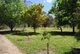 Photo - 10 Hicks Rd , Mudgegonga VIC 3737 - Image 14