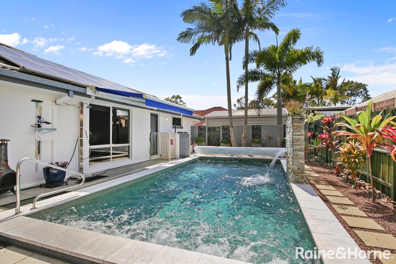 Photo - 10 Hovea Place, Tewantin QLD 4565 - Image 5