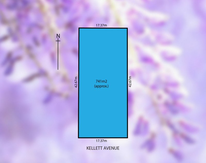 Photo - 10 Kellett Avenue, Lockleys SA 5032 - Image 3