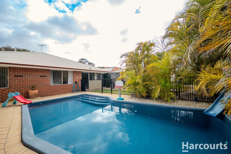 Photo - 10 Kippilaw Loop, Carramar WA 6031 - Image 28