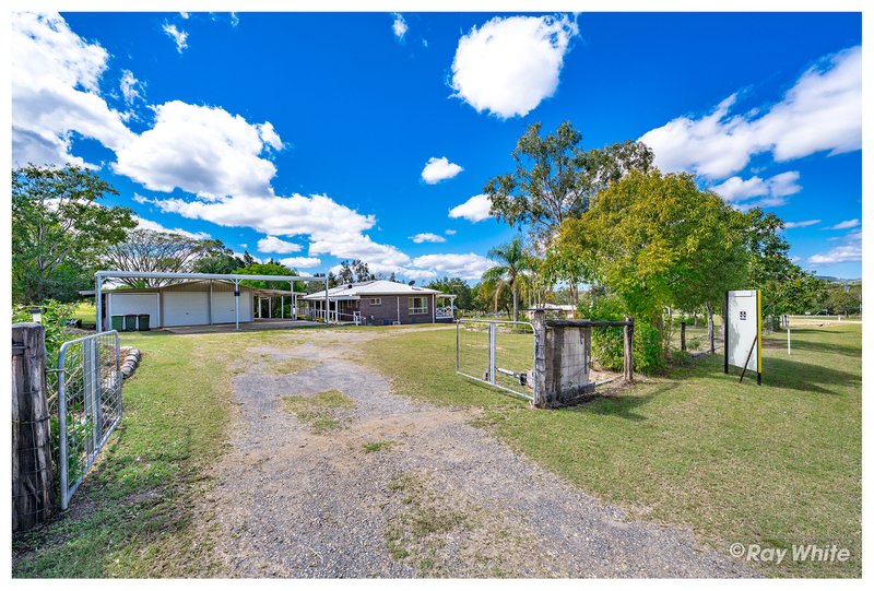 Photo - 10 Klerkx Drive, Glendale QLD 4711 - Image 32