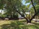 Photo - 10 Lambus Street, Palm Cove QLD 4879 - Image 1