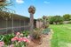 Photo - 10 Llewellyn Street, Centenary Heights QLD 4350 - Image 17