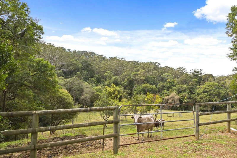 Photo - 10 Longan Rd , Cooloolabin QLD 4560 - Image 17