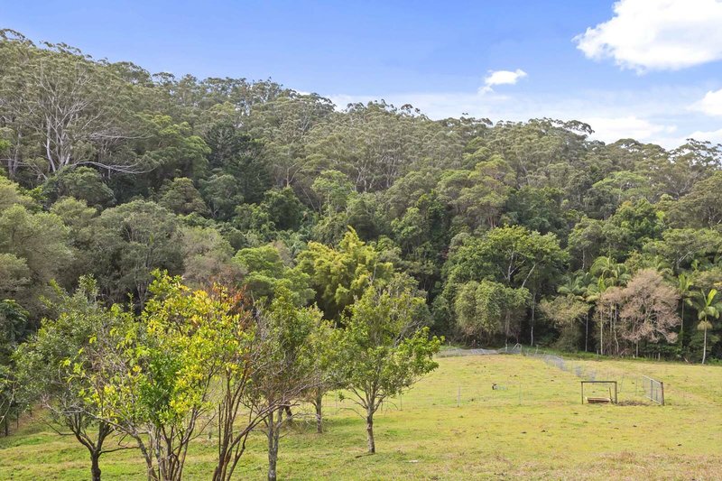 Photo - 10 Longan Rd , Cooloolabin QLD 4560 - Image 18