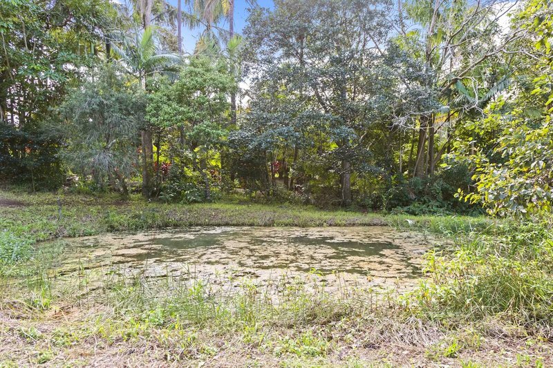 Photo - 10 Longan Rd , Cooloolabin QLD 4560 - Image 21