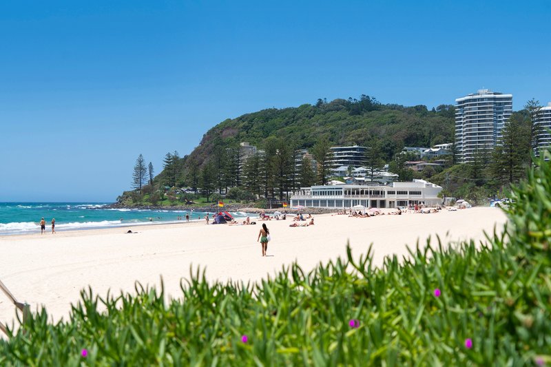 Photo - 10 Lorikeet Lane, Burleigh Waters QLD 4220 - Image 11