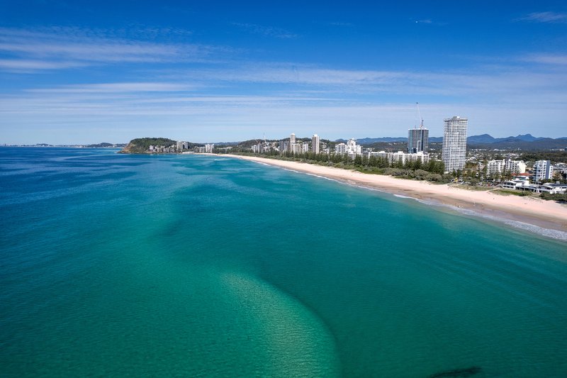 Photo - 10 Lorikeet Lane, Burleigh Waters QLD 4220 - Image 14
