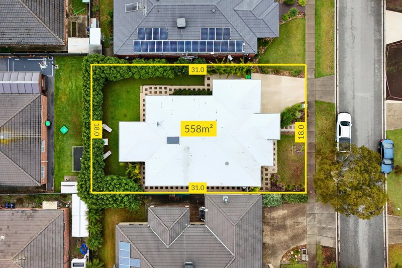 Photo - 10 Lumina Avenue, Cranbourne North VIC 3977 - Image 19