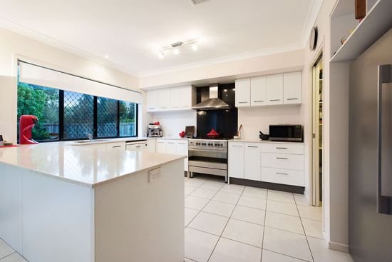 Photo - 10 Macadam Court, Palmwoods QLD 4555 - Image 4