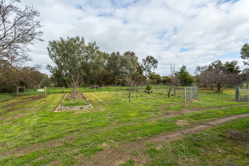 Photo - 10 Maskell Lane, Tatura VIC 3616 - Image 22