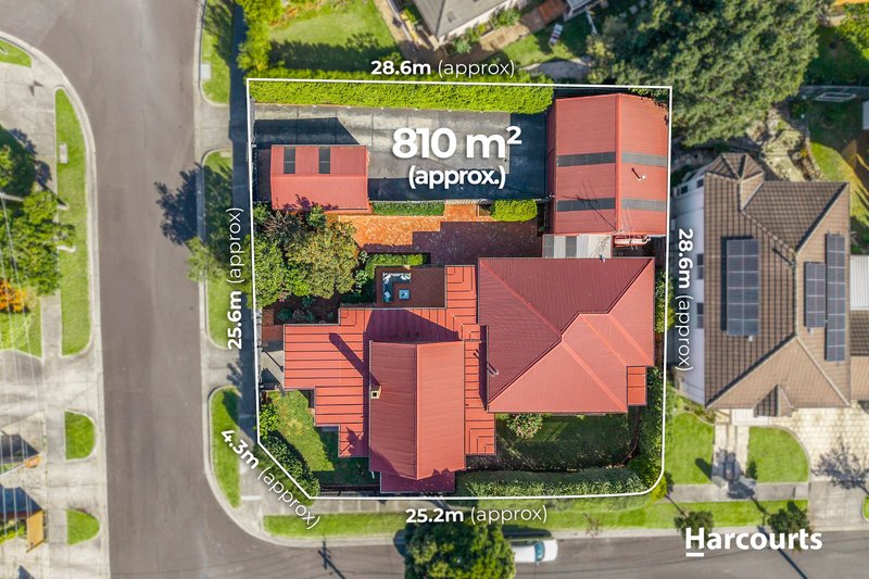 Photo - 10 Matheson Road, Forest Hill VIC 3131 - Image 13