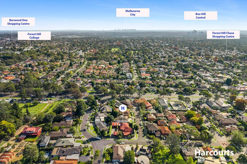 Photo - 10 Matheson Road, Forest Hill VIC 3131 - Image 15