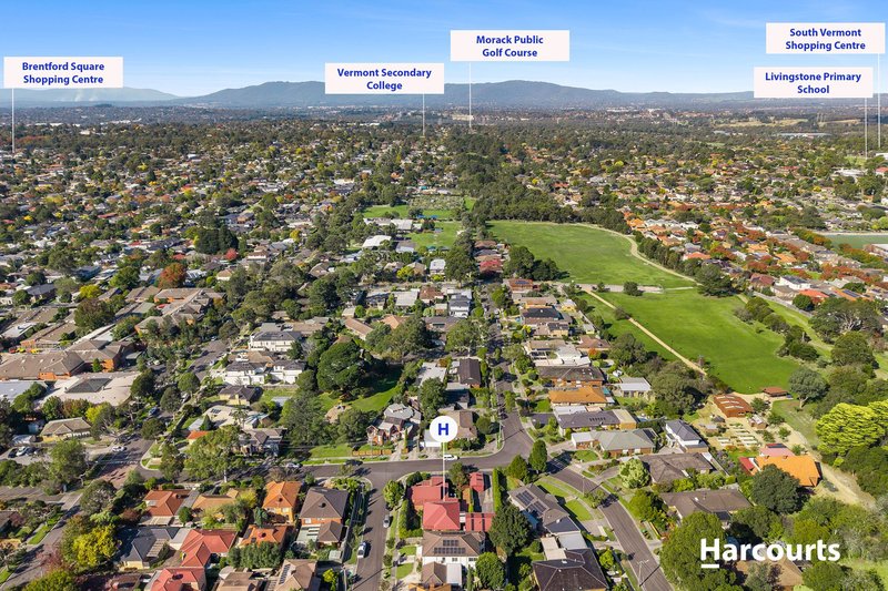 Photo - 10 Matheson Road, Forest Hill VIC 3131 - Image 16