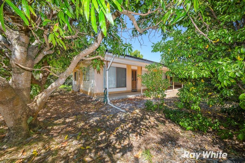 Photo - 10 Mcdonald Street, Bongaree QLD 4507 - Image 11