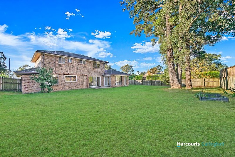 Photo - 10 Merelynne Avenue, West Pennant Hills NSW 2125 - Image 7