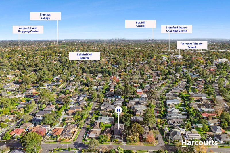 Photo - 10 Morack Road, Vermont VIC 3133 - Image 17