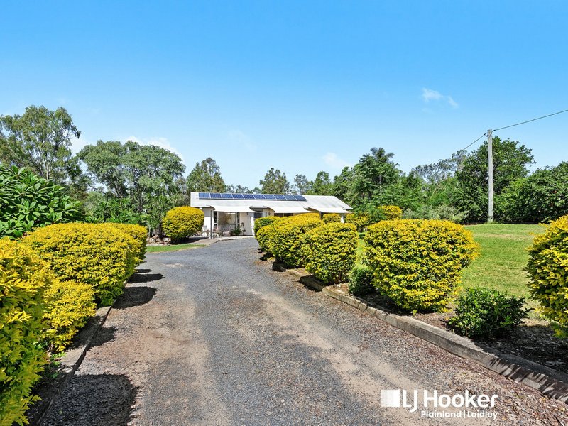 Photo - 10 Mountain View Drive, Plainland QLD 4341 - Image 3