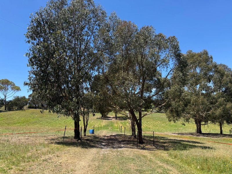 Photo - 10 Munts Road, Upper Plenty VIC 3756 - Image 35