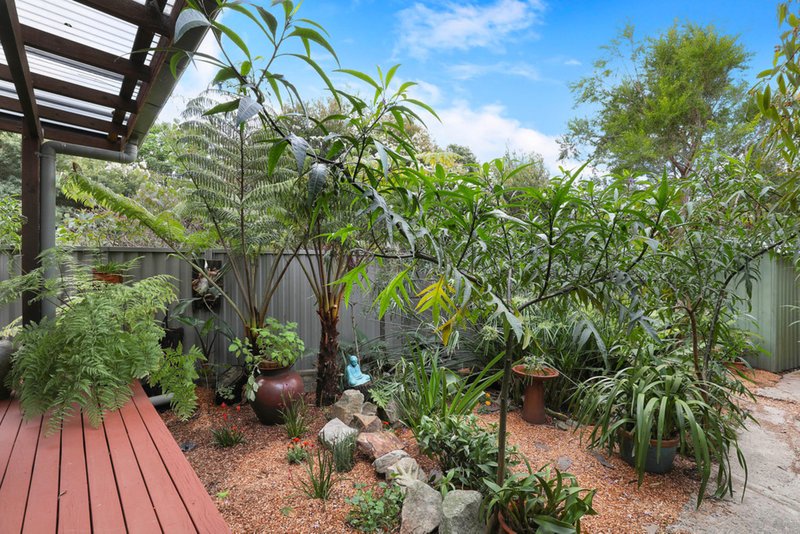 Photo - 10 Nelson Street, Dulwich Hill NSW 2203 - Image 6