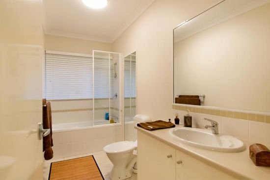 Photo - 10 Neroli Street, Palmwoods QLD 4555 - Image 5