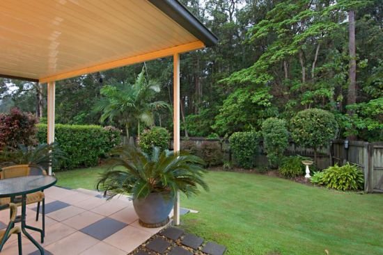 Photo - 10 Neroli Street, Palmwoods QLD 4555 - Image 8