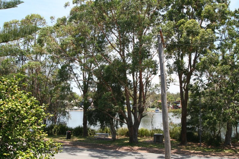 Photo - 10 Newport Road, Dora Creek NSW 2264 - Image 3