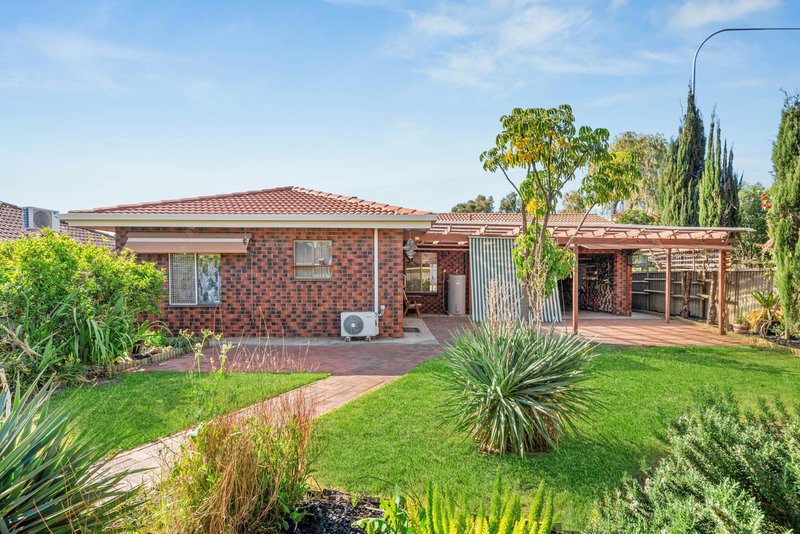 10 Niblic Court, Grange SA 5022