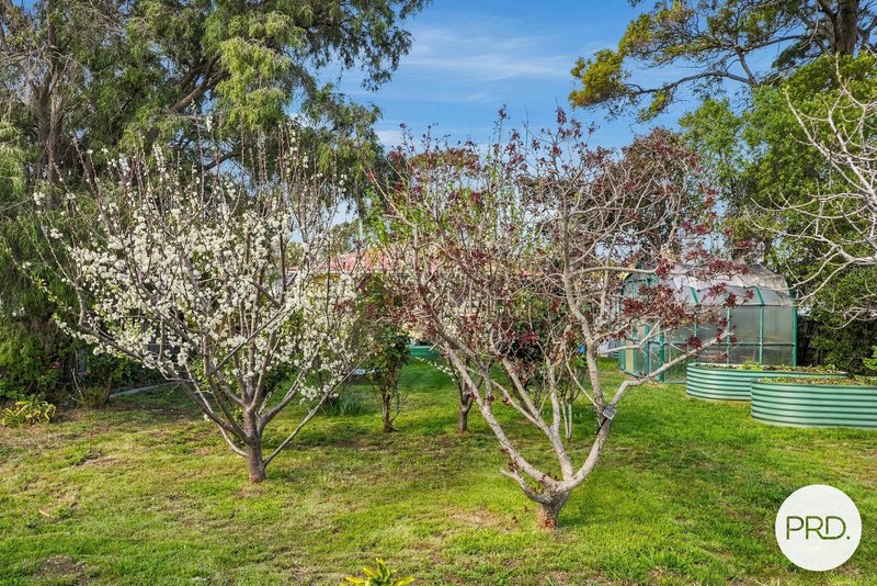 Photo - 10 North Terrace, Lauderdale TAS 7021 - Image 26