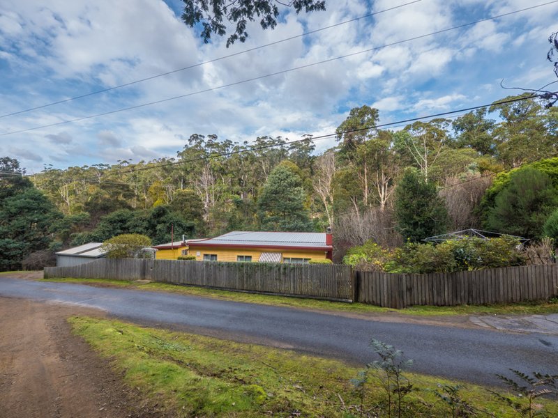 Photo - 10 Old Farm Road, South Hobart TAS 7004 - Image 2