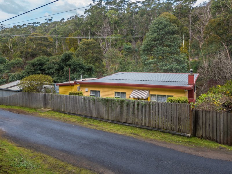 Photo - 10 Old Farm Road, South Hobart TAS 7004 - Image 3