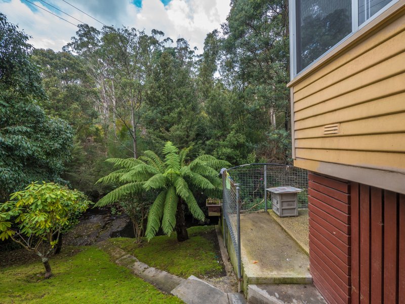 Photo - 10 Old Farm Road, South Hobart TAS 7004 - Image 7