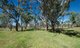 Photo - 10 Old Mill Road, Tingha NSW 2369 - Image 13