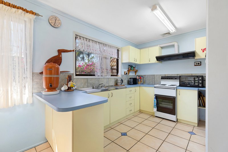 Photo - 10 Pine Avenue, Tewantin QLD 4565 - Image 3