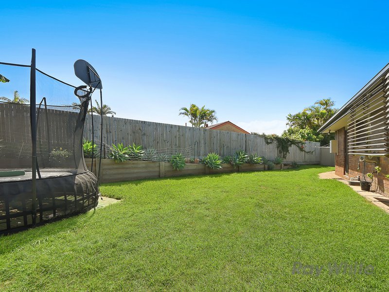 Photo - 10 Poara Street, Bracken Ridge QLD 4017 - Image 3