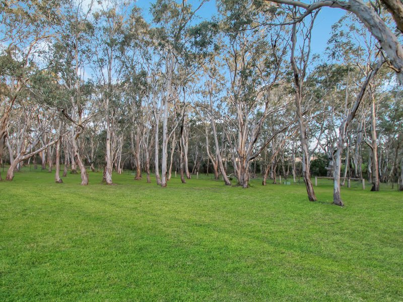 Photo - 10 Romawi Road, Forge Creek VIC 3875 - Image 14