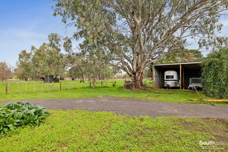 Photo - 10 Sand Road, Mclaren Vale SA 5171 - Image 11