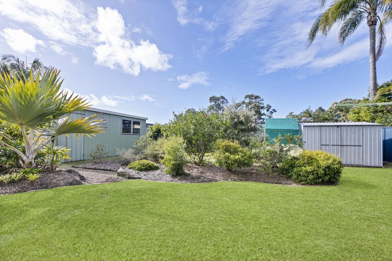 Photo - 10 Satinay Street, Mountain Creek QLD 4557 - Image 2