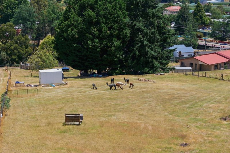 Photo - 10 Scott Street, Branxholm TAS 7261 - Image 28