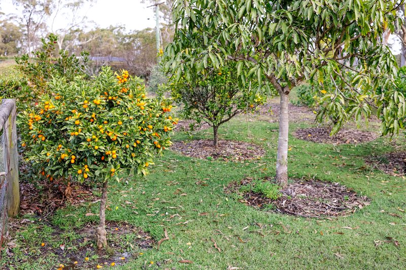 Photo - 10 Simmons Close, Wyee Point NSW 2259 - Image 26