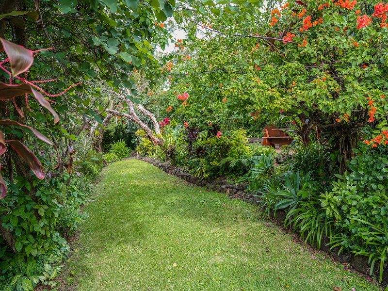 Photo - 10 Somerset Drive, Buderim QLD 4556 - Image 29