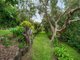 Photo - 10 Somerset Drive, Buderim QLD 4556 - Image 30