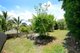 Photo - 10 South Molle Boulevard, Cannonvale QLD 4802 - Image 17